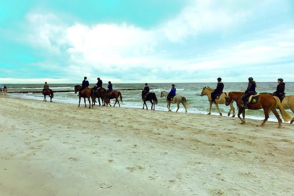 Ostsee-Ferienwohnung Uhlnuest Graal-Mueritz Gelbensande Esterno foto