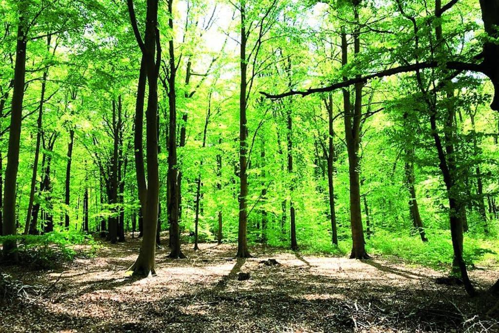 Ostsee-Ferienwohnung Uhlnuest Graal-Mueritz Gelbensande Esterno foto
