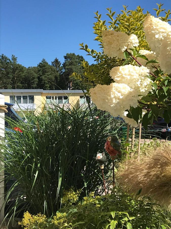 Ostsee-Ferienwohnung Uhlnuest Graal-Mueritz Gelbensande Esterno foto